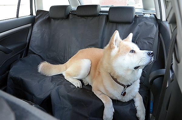 Deka ochranná do auta pro psa